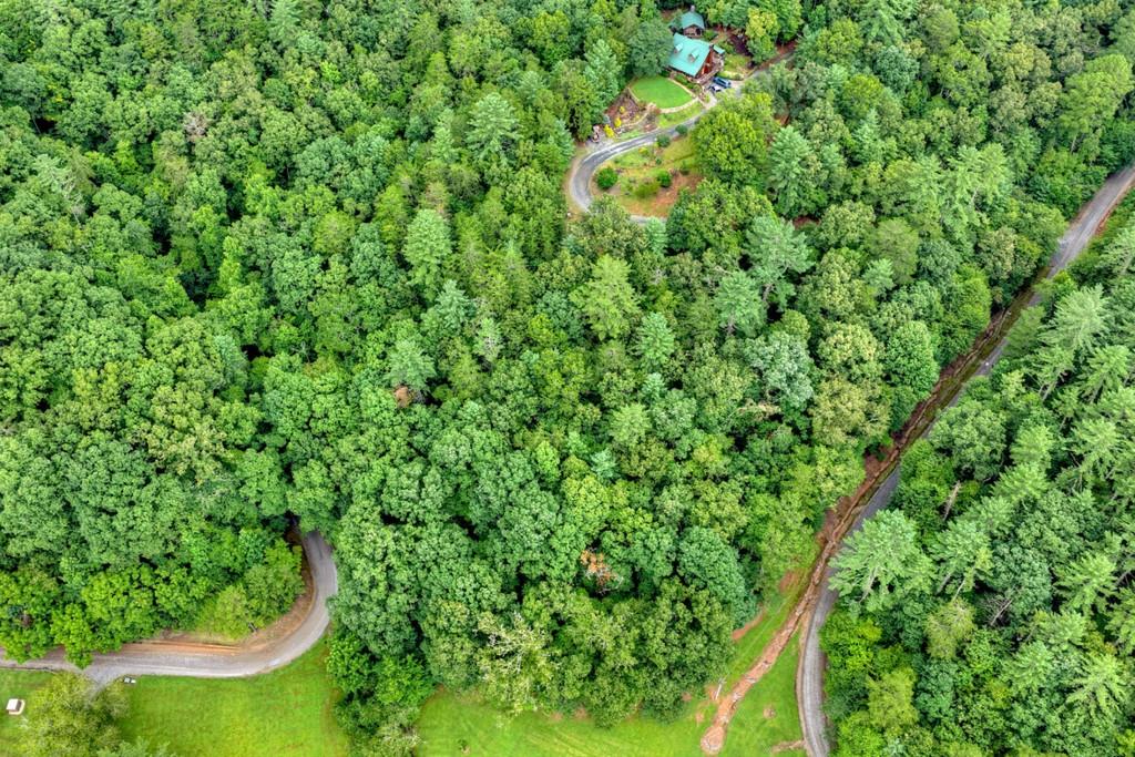 LOT 5B Toccoa River Forest