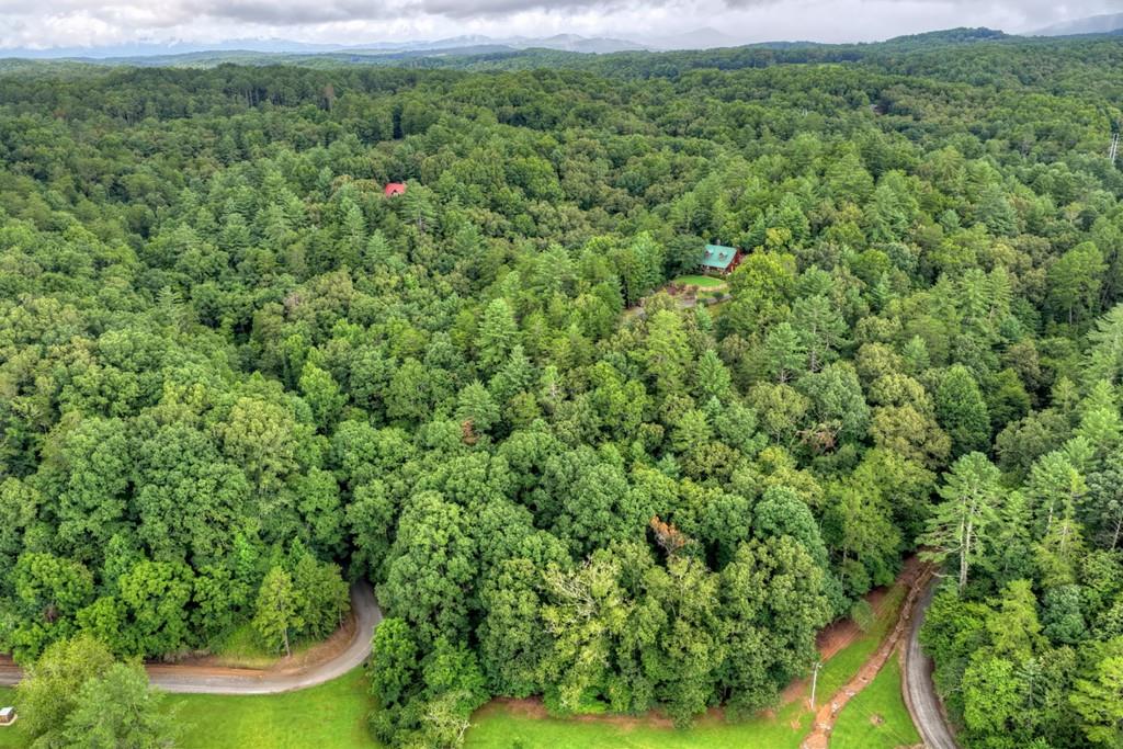 LOT 5B Toccoa River Forest
