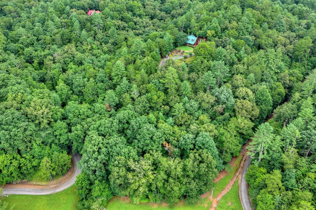 LOT 5B Toccoa River Forest