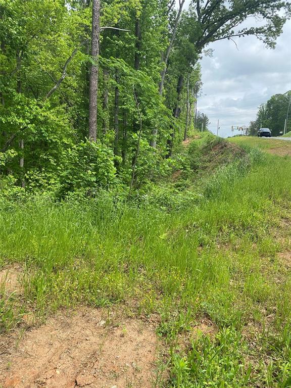 3.5 acres with road frontage, undeveloped. All parcels sold AS-IS, WHERE-IS. Buyer responsible for survey, subdivision, and perc testing. No commercial or industrial use allowed under the current county plan. DO NOT WALK THE PROPERTY WITHOUT AN APPROVED APPOINTMENT. All visitors must sign and return GAR Form F846 to listing agent for access.