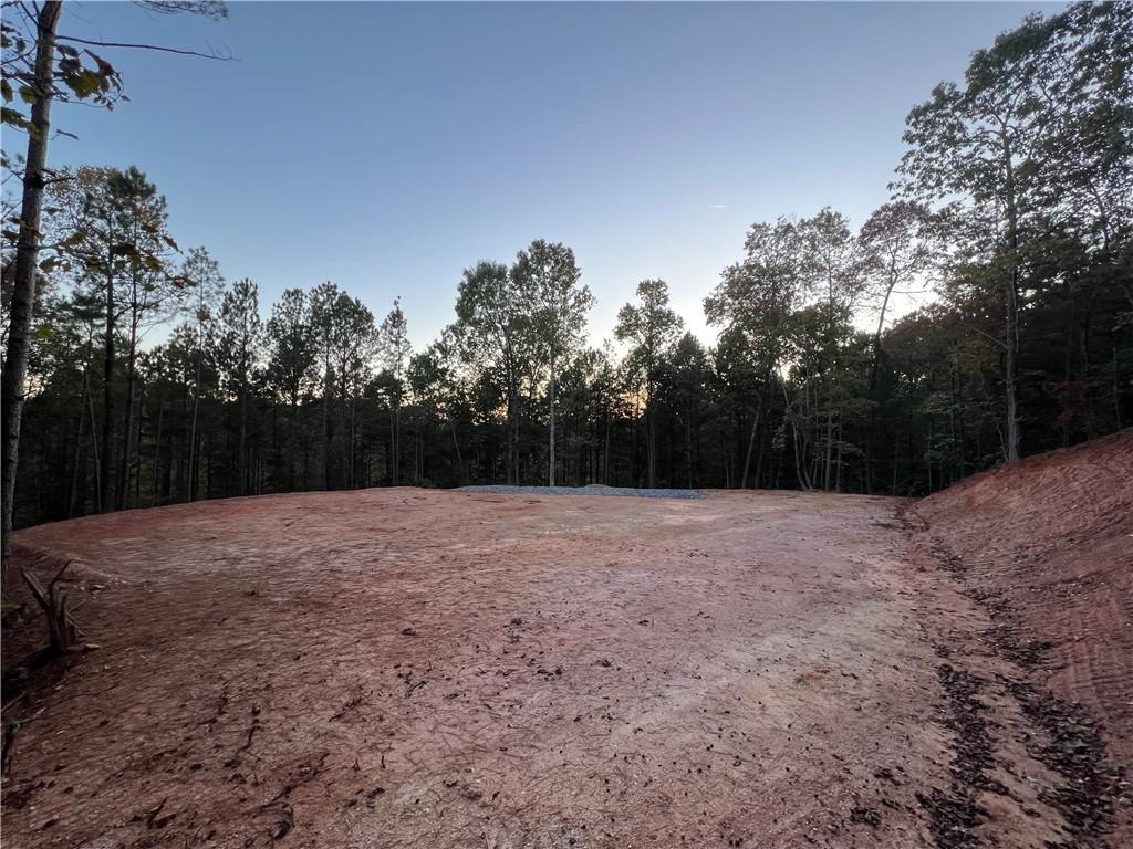 85 Mauser Court, Jasper, Georgia image 4