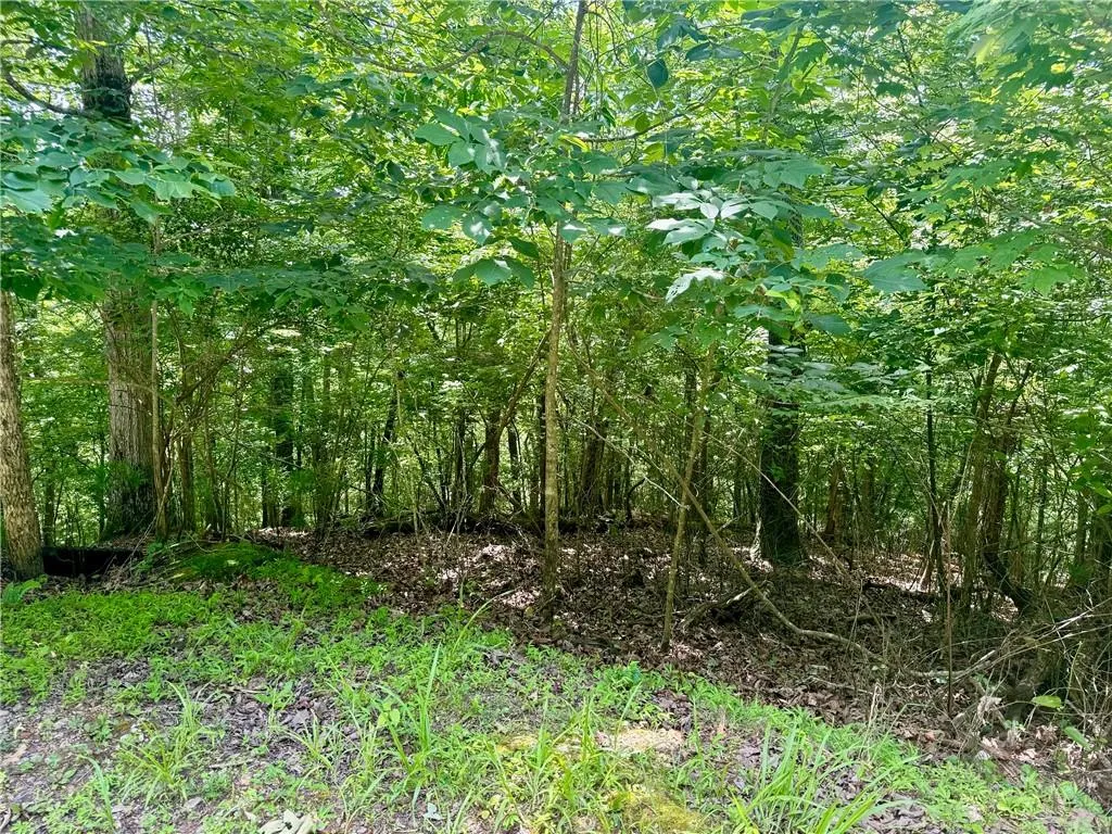 Ellijay, Georgia 30540, United States, ,Land,Active,53873