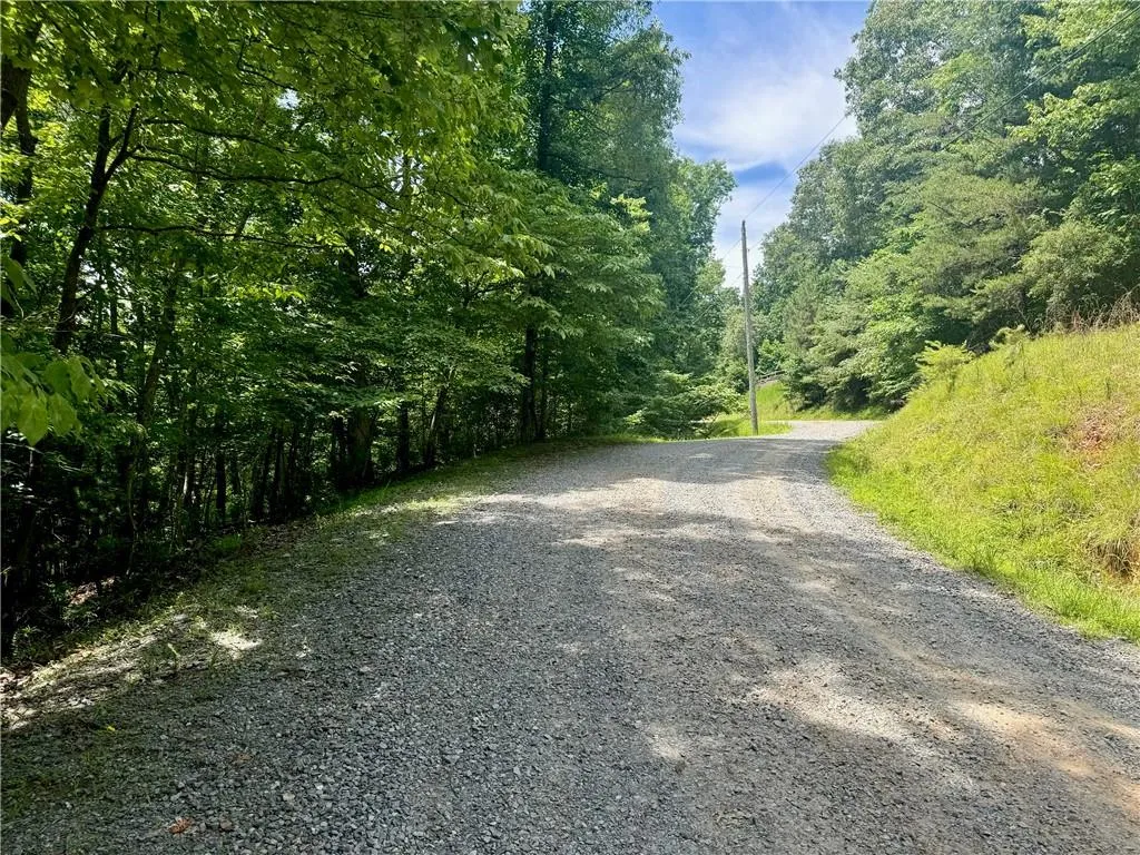 Ellijay, Georgia 30540, United States, ,Land,Active,53873