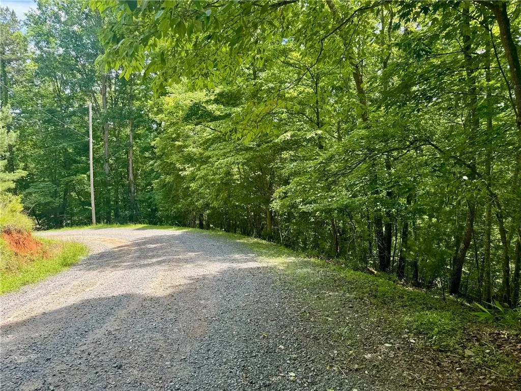 Ellijay, Georgia 30540, United States, ,Land,Active,53873