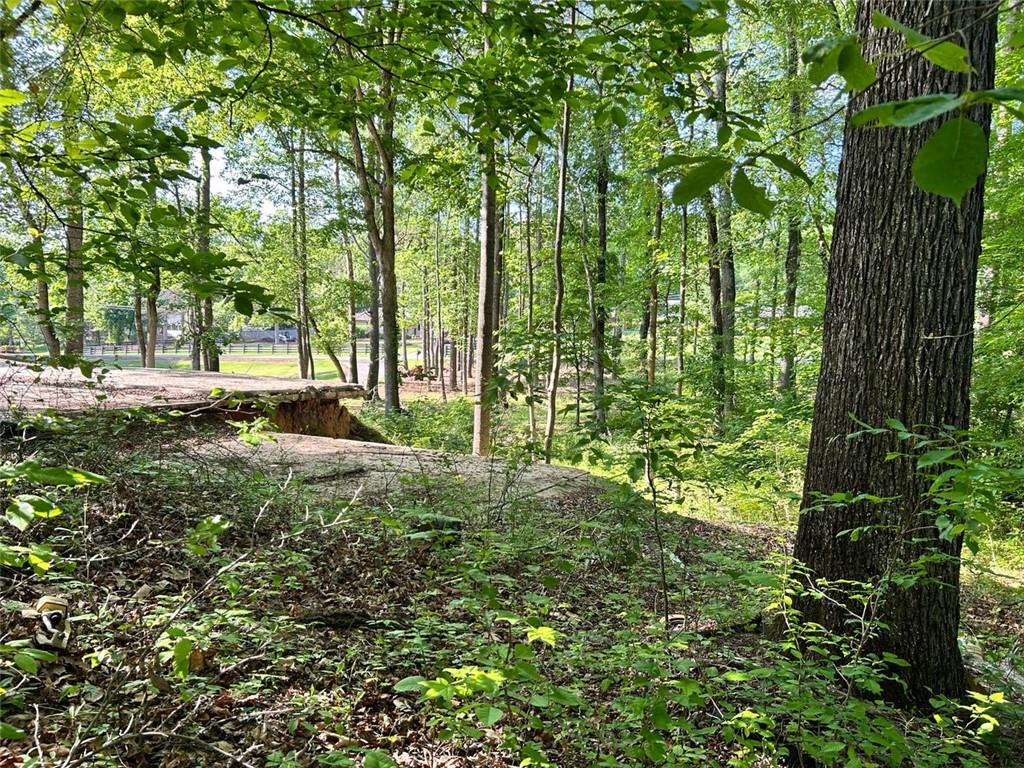 5219 Union Hill Road, Alpharetta, Georgia image 13