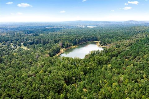 Unimproved Land in Taylorsville GA 0 Ore Mine Road.jpg