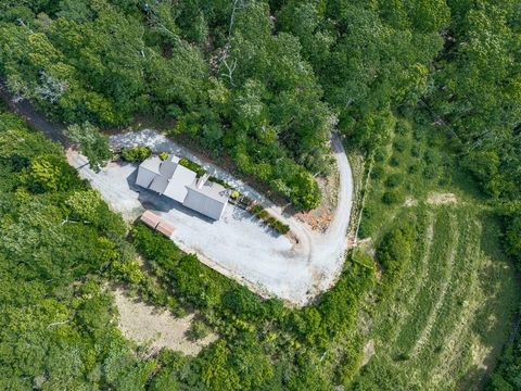 601 Cartecay Trace Ellijay GA 30536