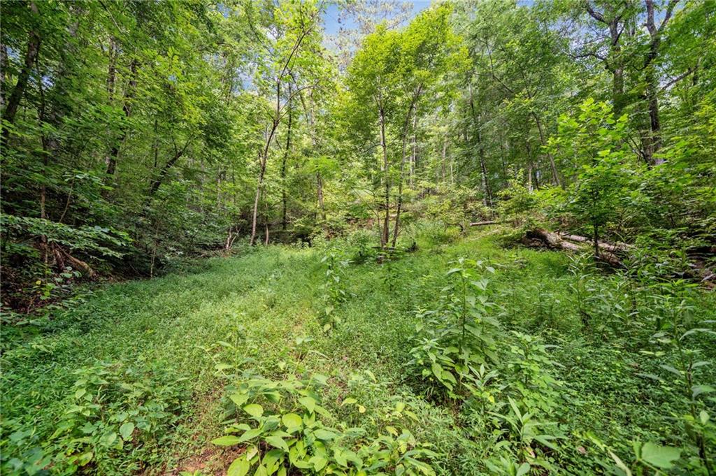 3.11 Acres Cove Road