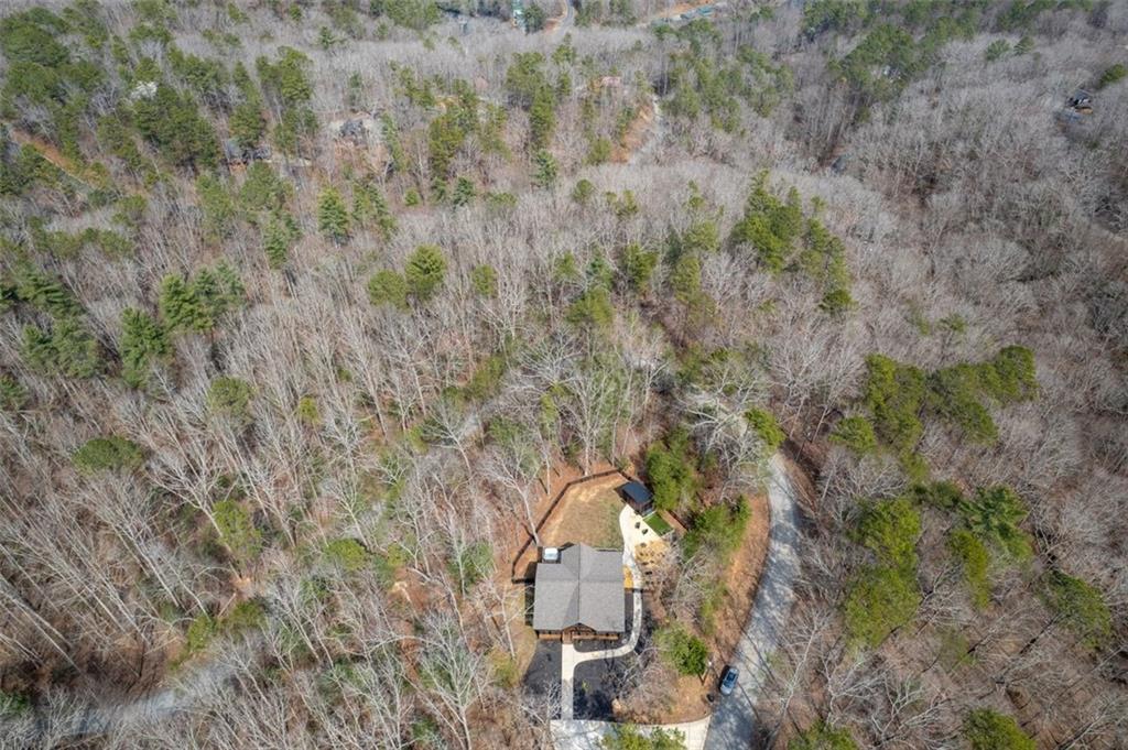 398 Alcan Way, Ellijay, Georgia image 37