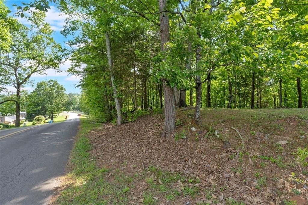 Lot 54 Ridgeview Drive, Silver Creek, Georgia image 12