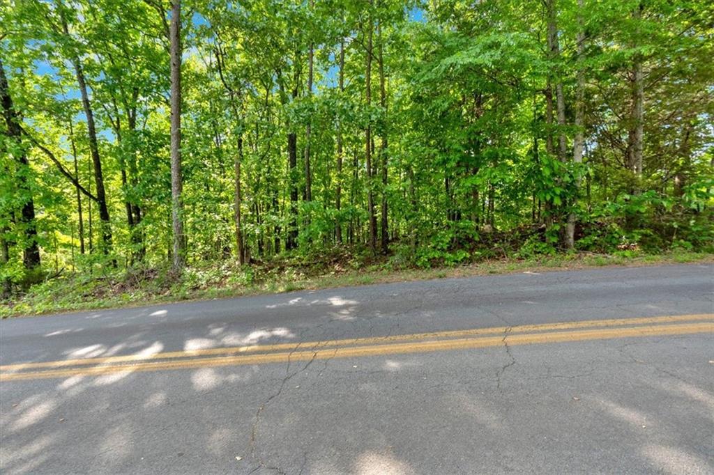 Lot 54 Ridgeview Drive, Silver Creek, Georgia image 14
