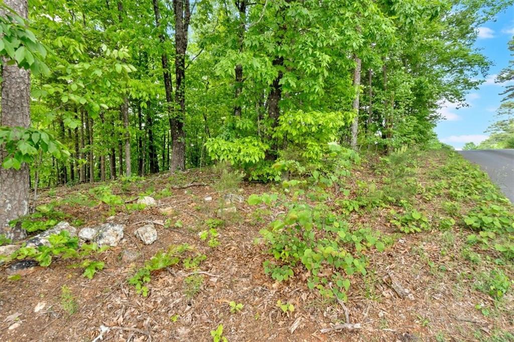Lot 54 Ridgeview Drive, Silver Creek, Georgia image 10