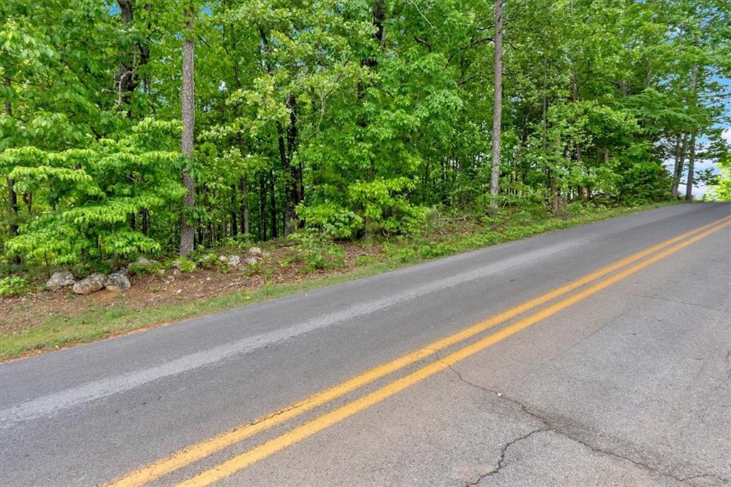 Lot 54 Ridgeview Drive, Silver Creek, Georgia image 15