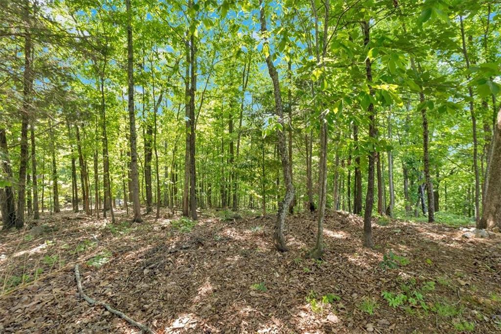 Lot 54 Ridgeview Drive, Silver Creek, Georgia image 9