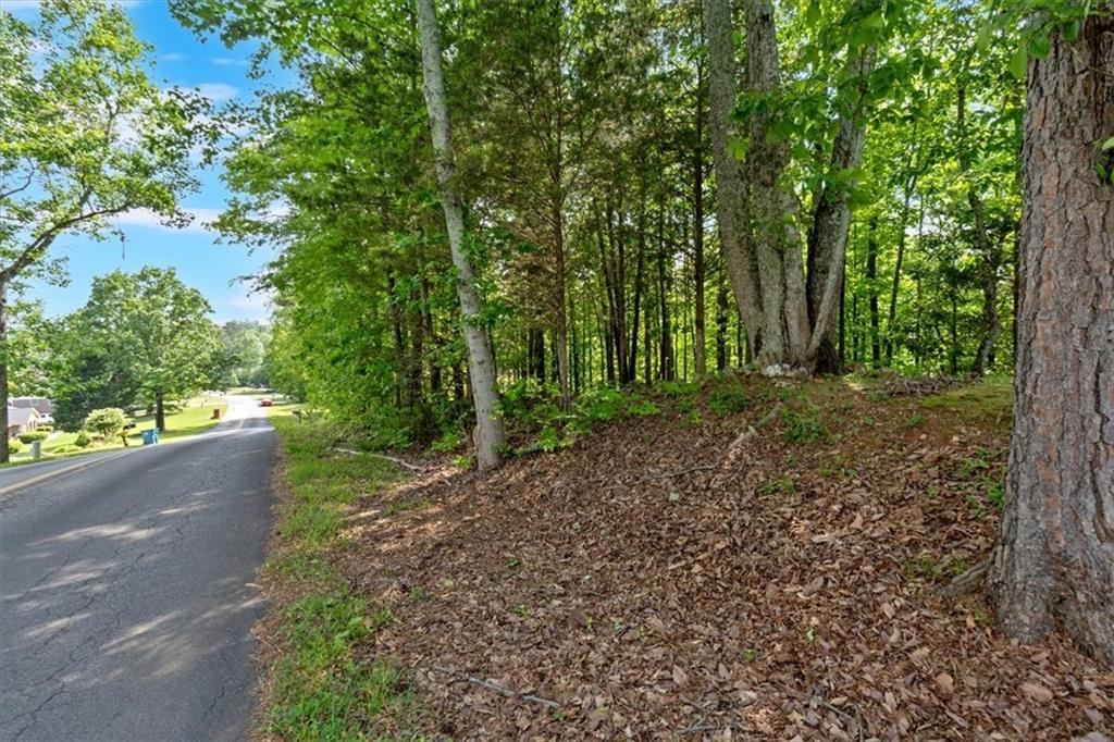 Lot 54 Ridgeview Drive, Silver Creek, Georgia image 11