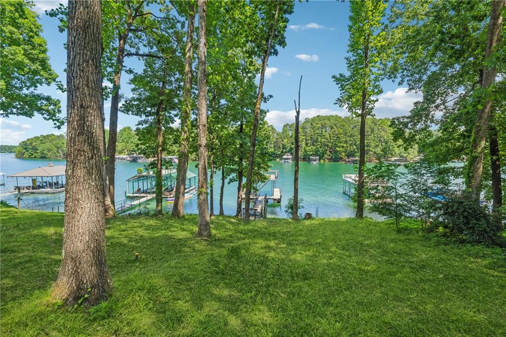 6337 Lake View Dr, Buford, Georgia image 39
