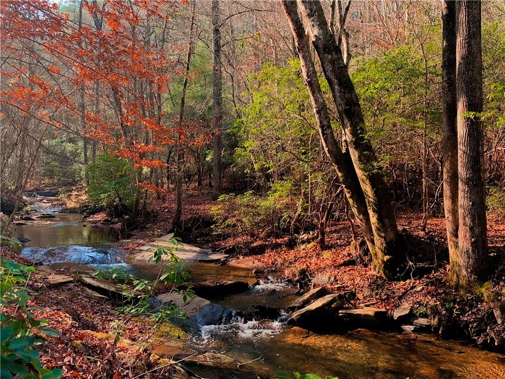 2468 Twisted Oak Road