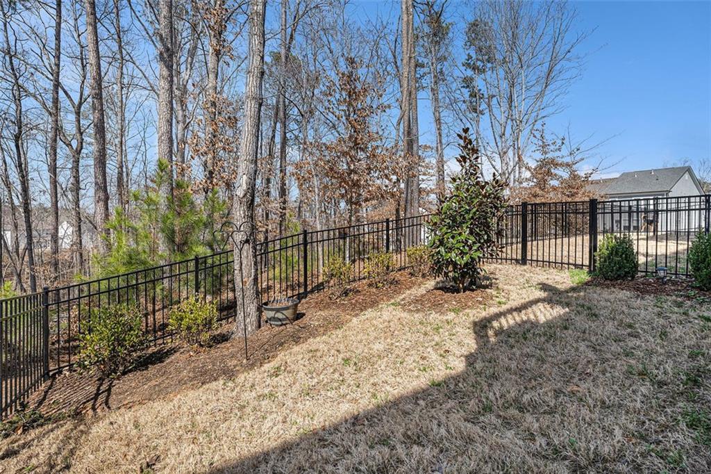 233 Retreat Lane, Canton, Georgia image 22