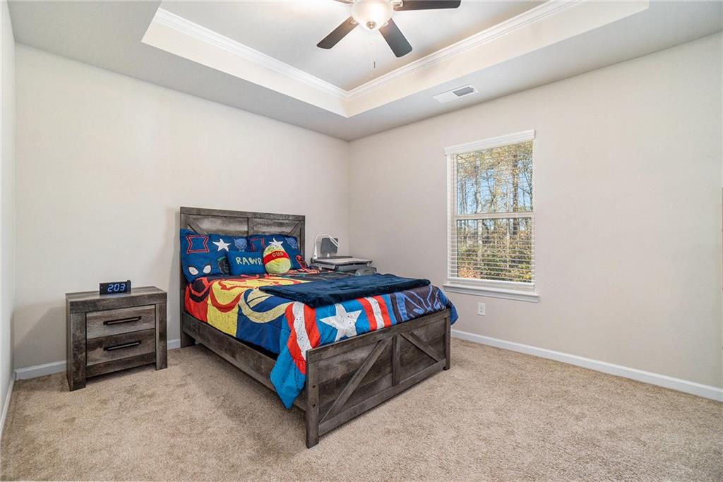 810 Relic Ridge, Hampton, Georgia image 22
