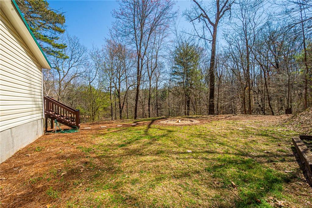 445 River Shoals Road, Dawsonville, Georgia image 41