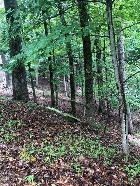 Vacant Land For Sale - 6055 Crested Iris Circle<br/> Pickens County, Jasper, GA 30143