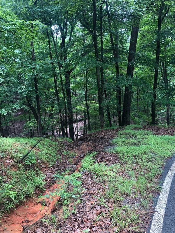 6055 Crested Iris Circle