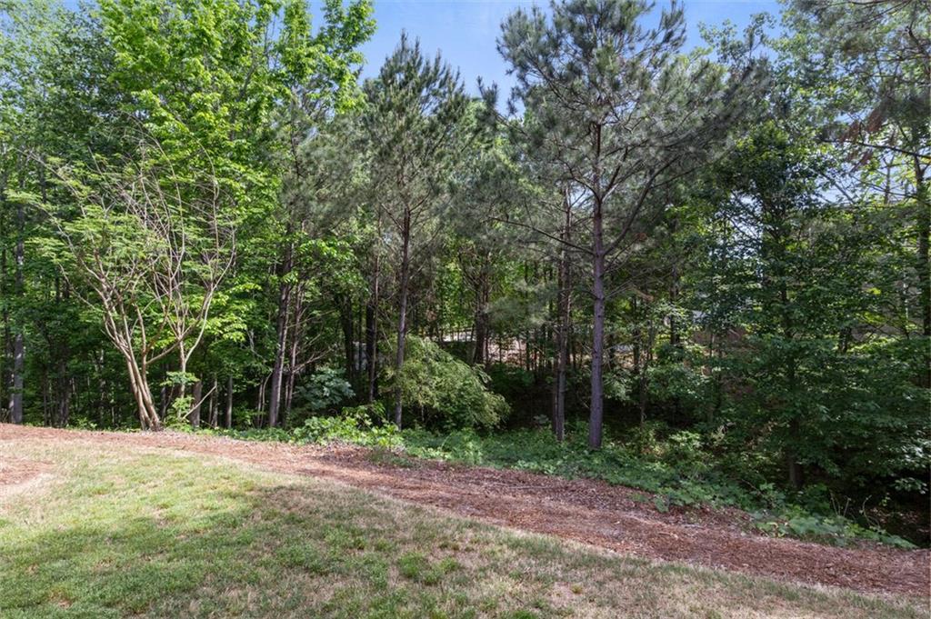 3375 Willow Oak Drive, Peachtree Corners, Georgia image 36
