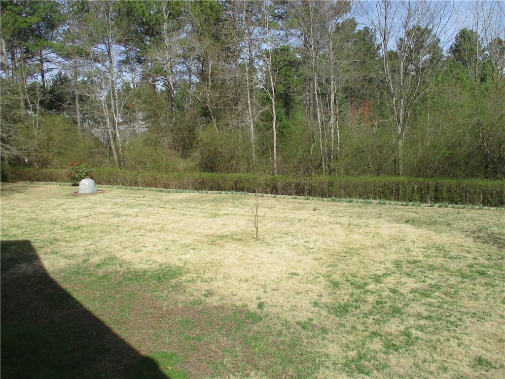 28 County Line #2 Road, Rydal, Georgia image 50
