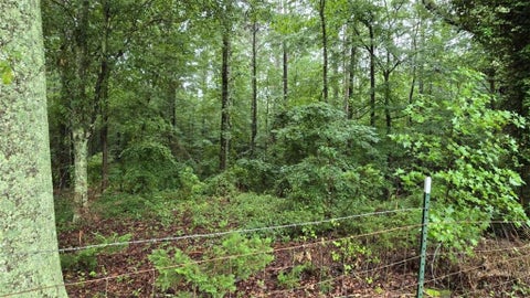 Vacant Land For Sale - Bob Holman Road<br/> Jackson County, Athens, GA 30607