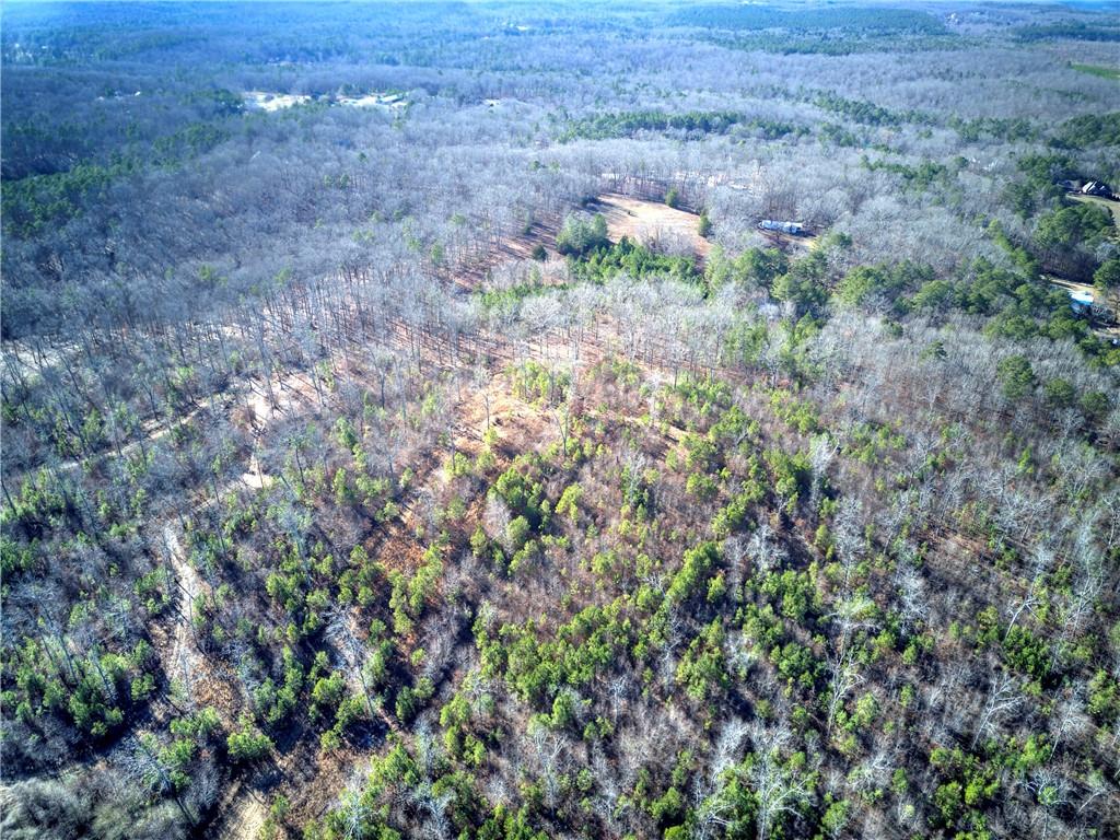 368 Pleasant Valley Road, Adairsville, Georgia image 3