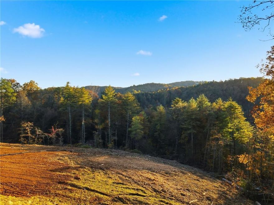 This isn't just a beautiful luxury home, it's an experience! Discover refined comfort in this brand-new 4-bed, 3-bath home located in the gated Talking Rock Creek Resort. Thoughtfully designed with open living spaces, vaulted ceilings, and designer finishes throughout. The chef’s kitchen features granite countertops, premium cabinetry, and stainless appliances flowing into a spacious great room with a cozy fireplace—perfect for entertaining or relaxing. The owner’s suite offers a spa-inspired bath and peaceful mountain views. Enjoy morning coffee or sunset gatherings on the covered porch surrounded by natural beauty. Resort amenities include pools, tennis, clubhouse, private lake, and scenic trails—all just over an hour from Atlanta.