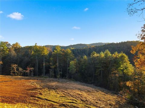 1783 Hunter Drive Ranger GA 30734