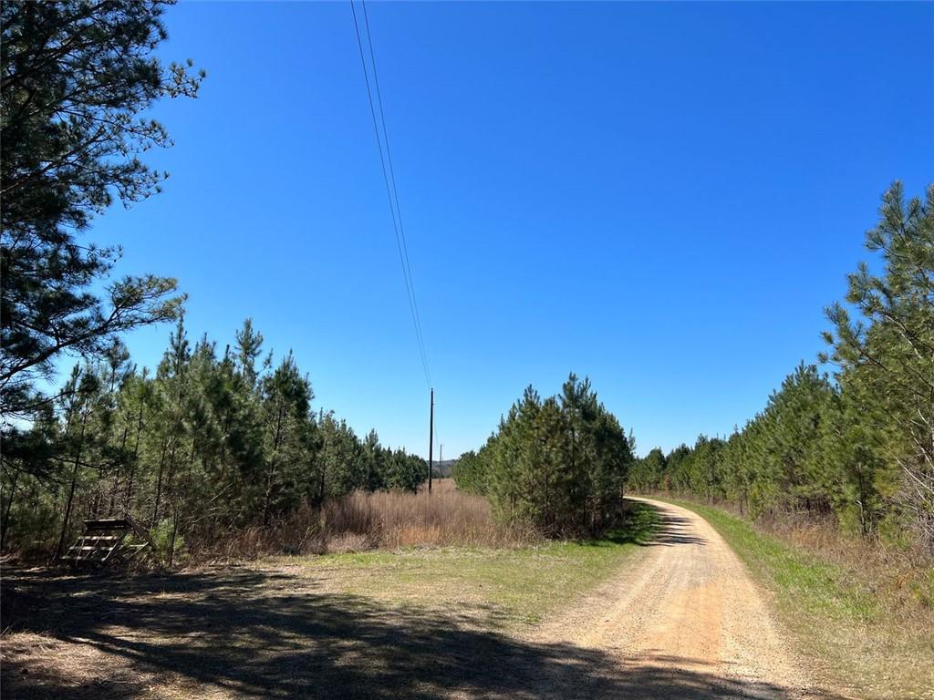 Windridge Road, Temple, Georgia image 2