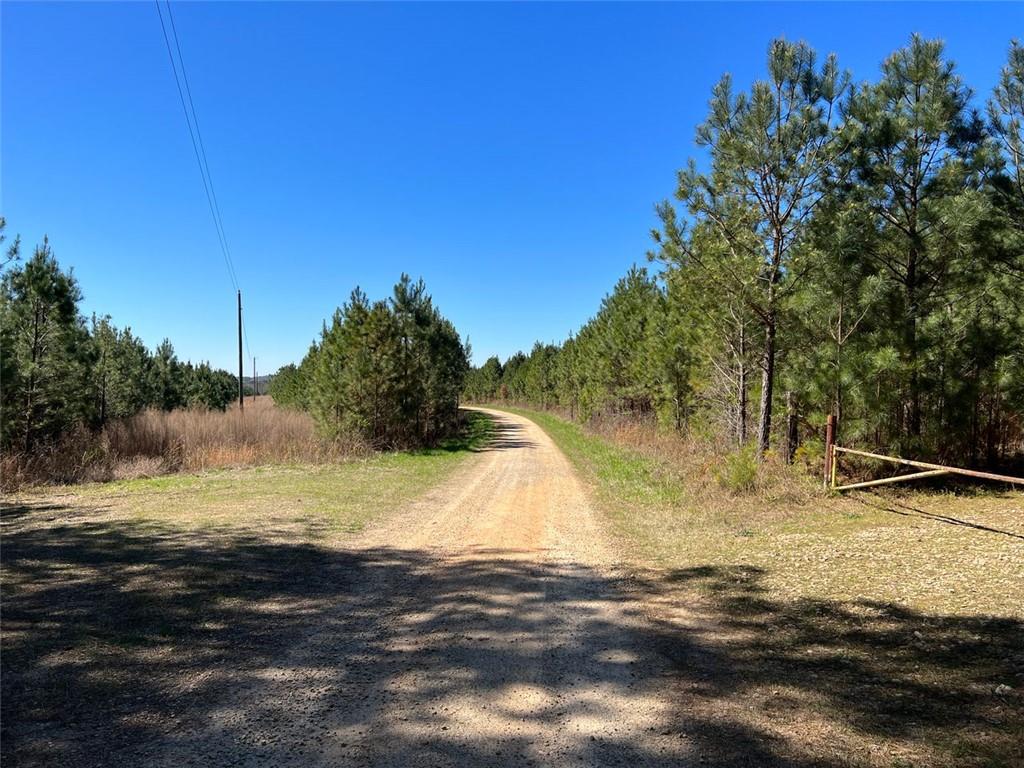 Windridge Road, Temple, Georgia image 3