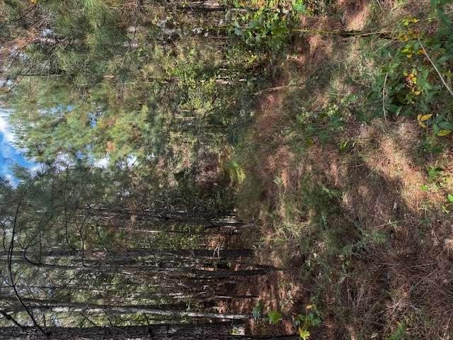Photo 1 of 8 — 230 Dodgen Road, Hampton, GA 30228
