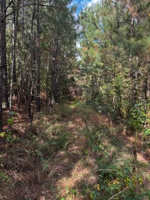 Homes For Sale - 230 Dodgen Road<br/> Hampton, GA 30228