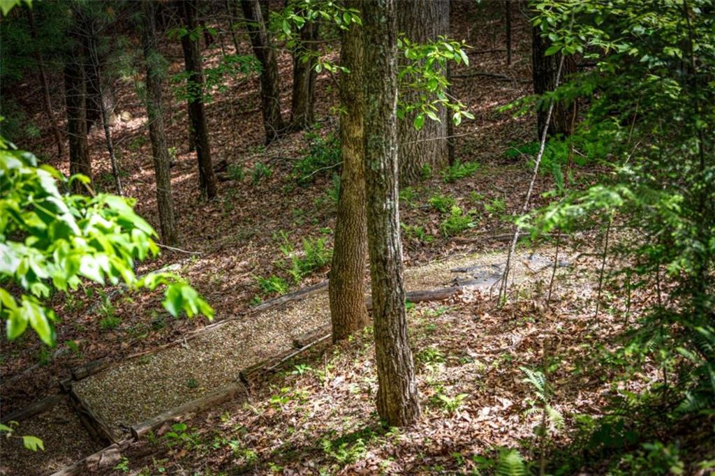 88 Indian Rock Road, Blue Ridge, Georgia image 25