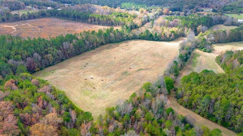 Red Bone Ridge Road, Fairmount, Georgia image 5