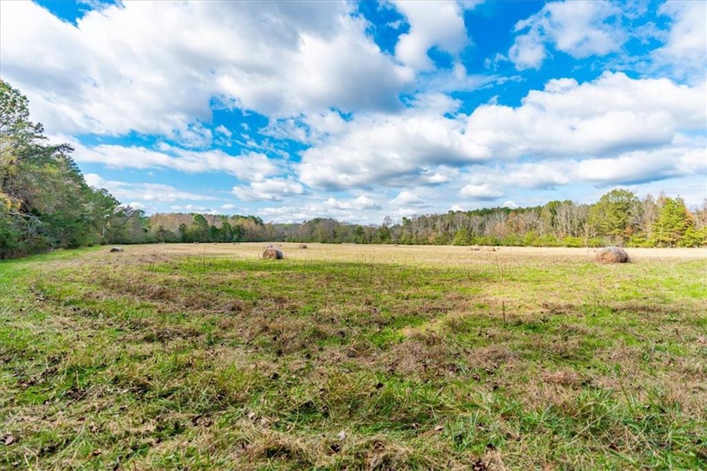 Red Bone Ridge Road, Fairmount, Georgia image 25