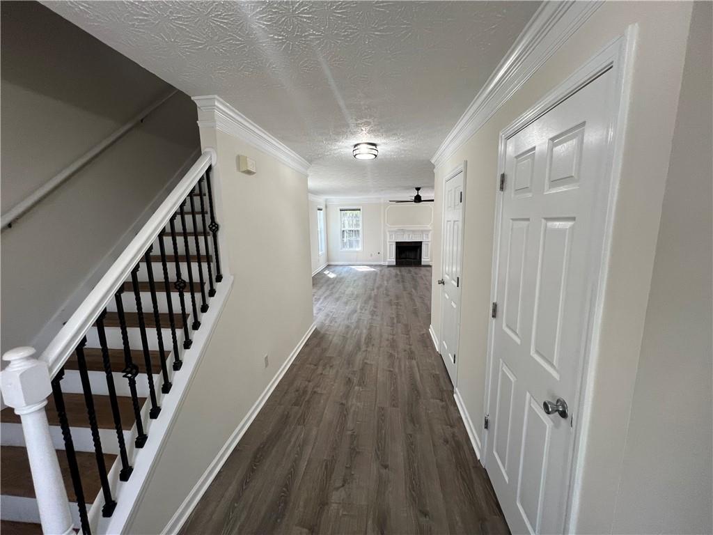 3131 Leyland Court, Decatur, Georgia image 3