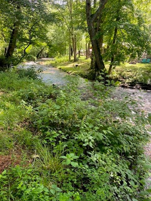 407 Hidden Valley Road, Cleveland, Georgia image 6