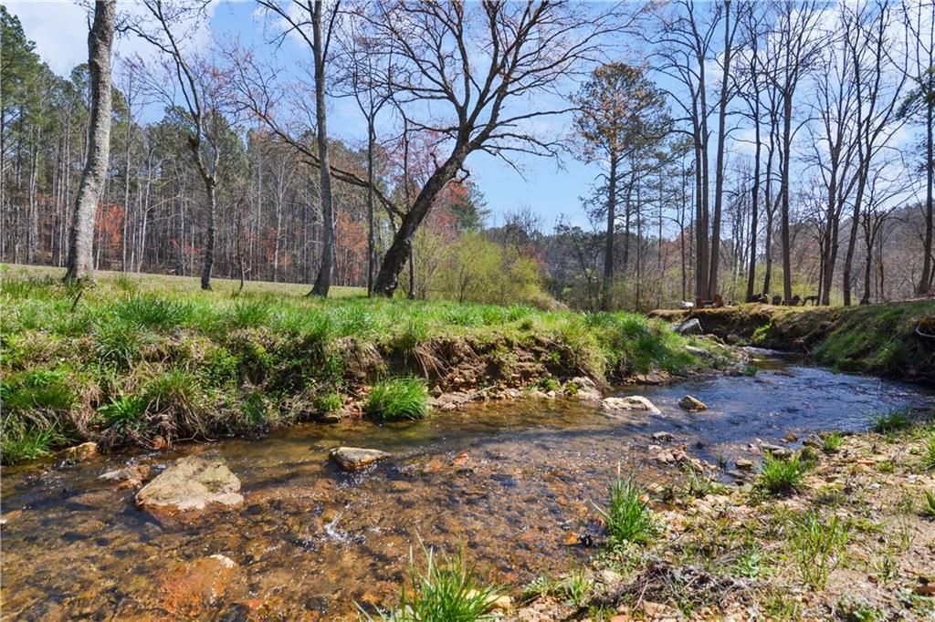 146 Eddy Waters Circle, Talking Rock, Georgia image 20