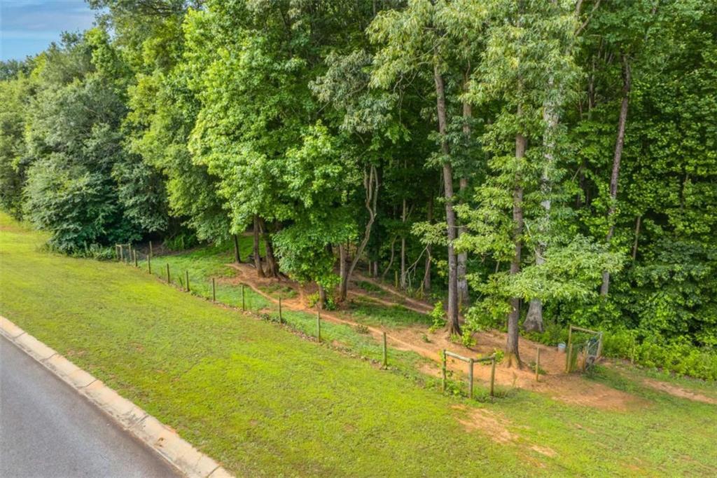 122 Cannon Creek, Homer, Georgia image 50