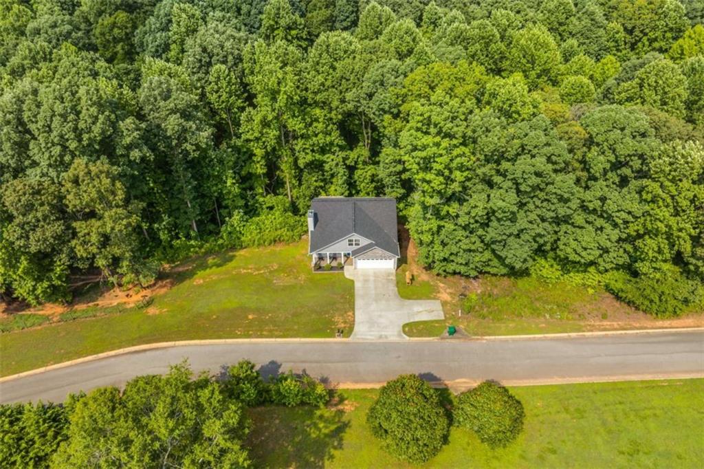 122 Cannon Creek, Homer, Georgia image 42