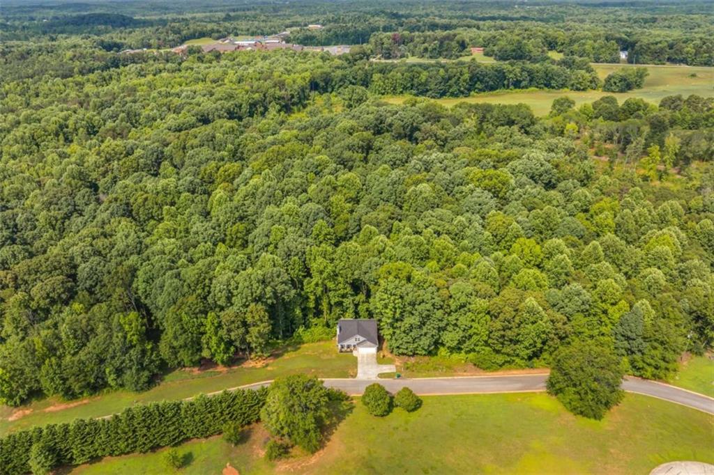 122 Cannon Creek, Homer, Georgia image 43