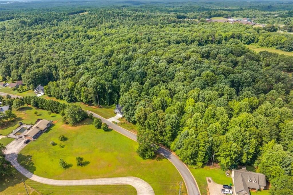 122 Cannon Creek, Homer, Georgia image 45