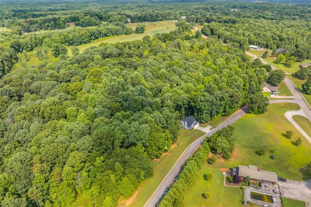 122 Cannon Creek, Homer, Georgia image 44