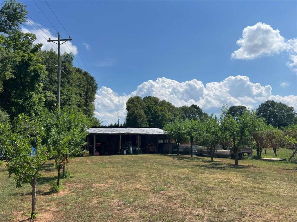 1938 Dooley Town Road, Statham, Georgia image 3