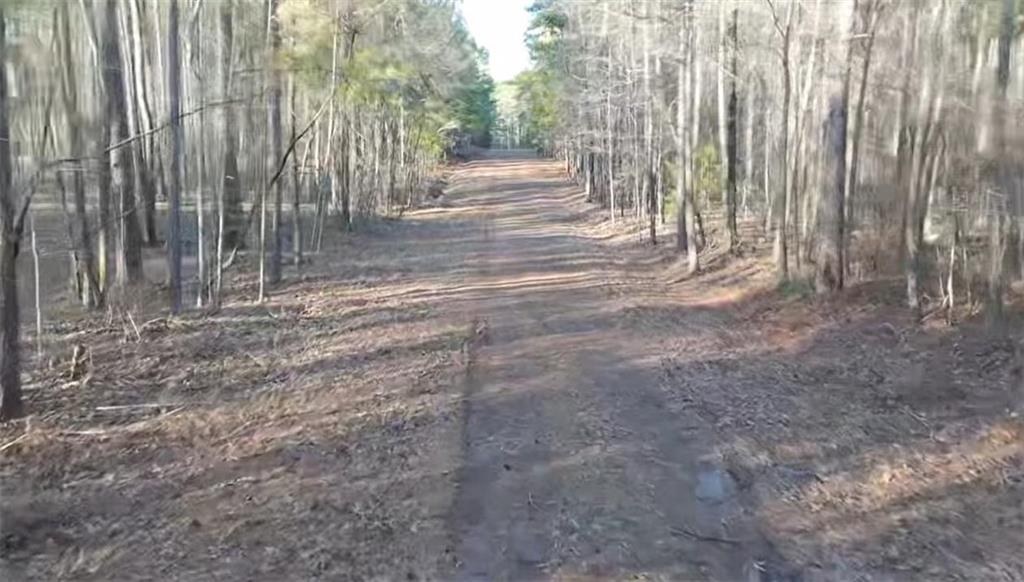 130 Lower Glass Bridge Road Rd, LaGrange, Georgia image 1