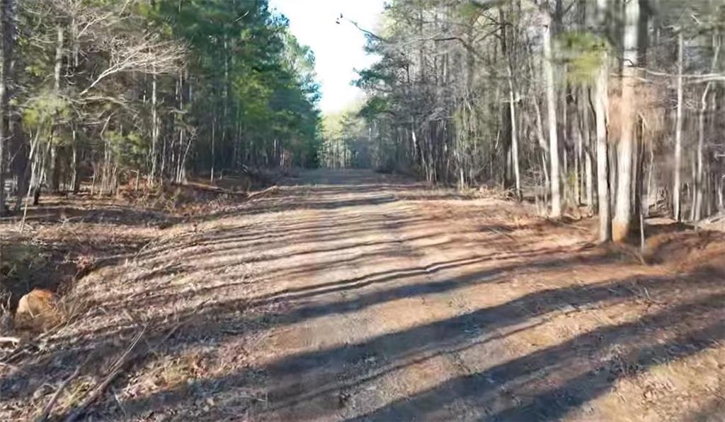 130 Lower Glass Bridge Road Rd, LaGrange, Georgia image 2